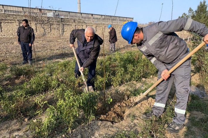 Azərbaycan Respublikasının Dövlət Ehtiyatları Agentliyində YAP-ın 33 illiyinə həsr olunmuş böyük yaşıllaşdırma aksiyası keçirilib