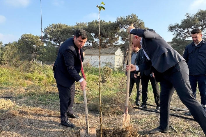 Azərbaycan Respublikasının Dövlət Ehtiyatları Agentliyində YAP-ın 33 illiyinə həsr olunmuş böyük yaşıllaşdırma aksiyası keçirilib