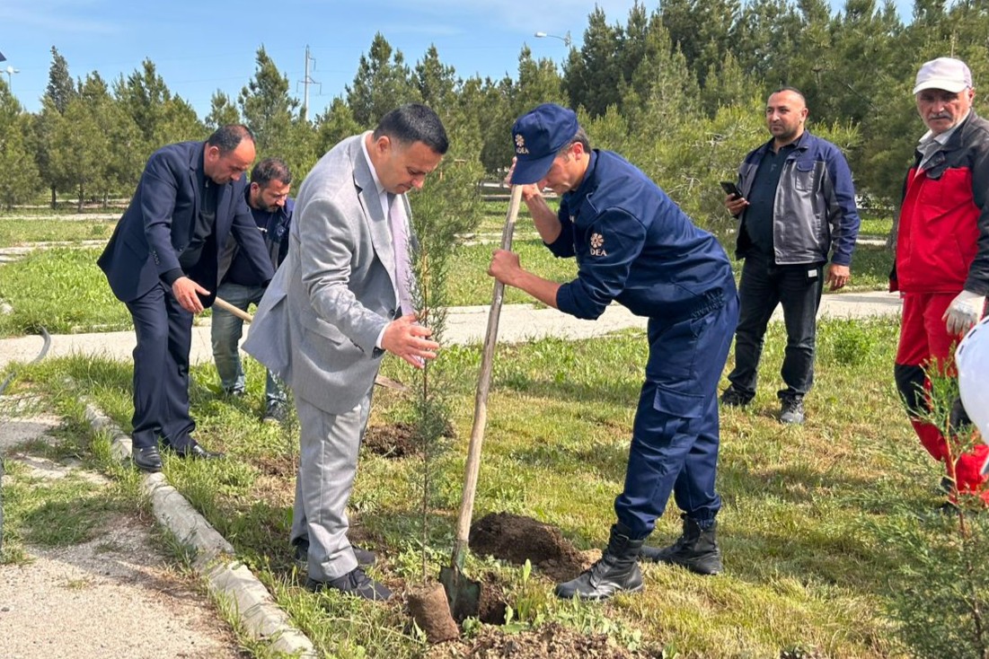 ADEA tərəfindən Ümummilli Lider Heydər Əliyevin anadan olmasının 102-ci ildönümü ilə əlaqədar ağacəkmə aksiyası keçirilib